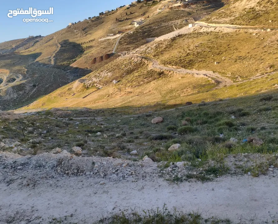 نص دنم أرض للبيع مباشرة من المالك بدون أي وسطاء تصنيف B مسموح البناء في أي وقت بدون قيود أو شروط