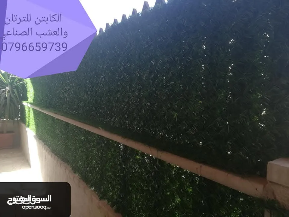 سياج عشبي تركي
