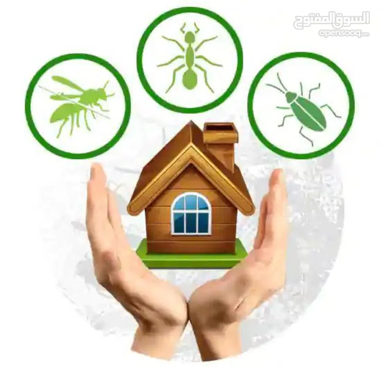 البيت الآمن لمكافحة الحشرات
