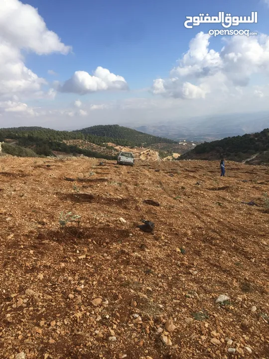 فرصة استثمارية! أرض زراعية مميزة بسعر مغري و بالقرب من أحراش الدولة للمزيد من المعلومات اقرأ الوصف