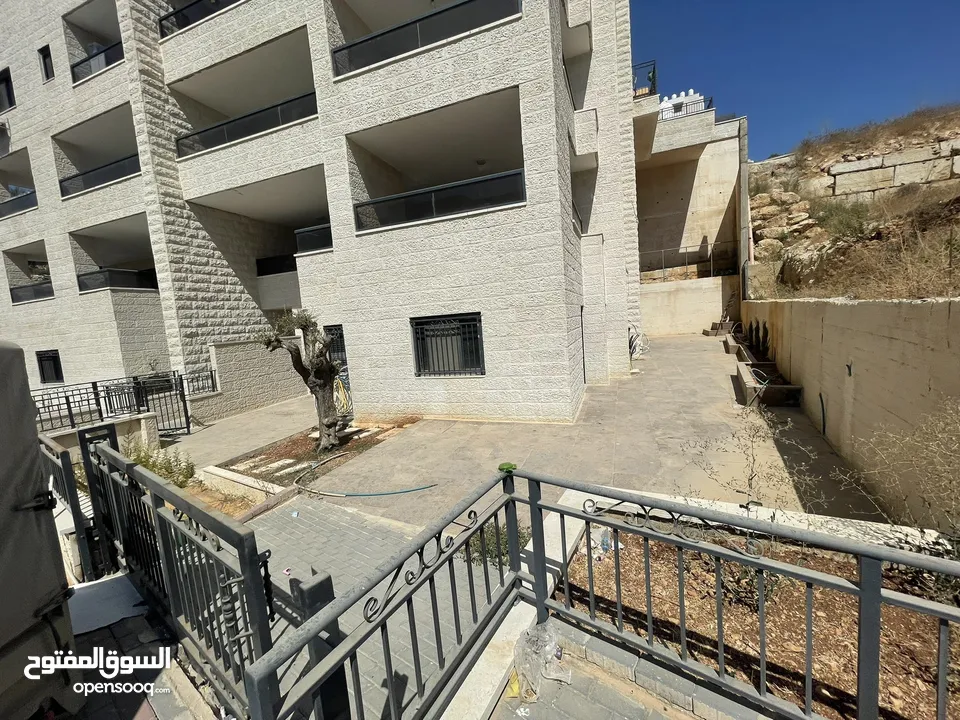 مرح صافي بال فايندر