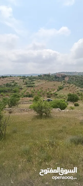 مزرعه  صغريه راقيه على قمه جبل مطله للغرب كوشان مستقل بسعر مميز جدا منطقه مزراع راقيه