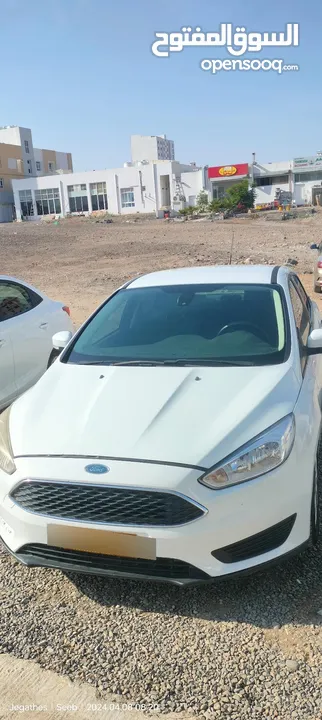 Ford focus white