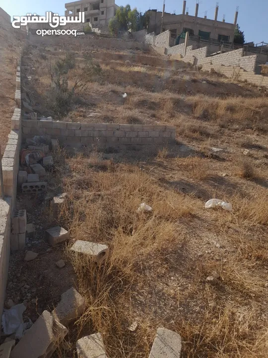 قطعة ارض دونم