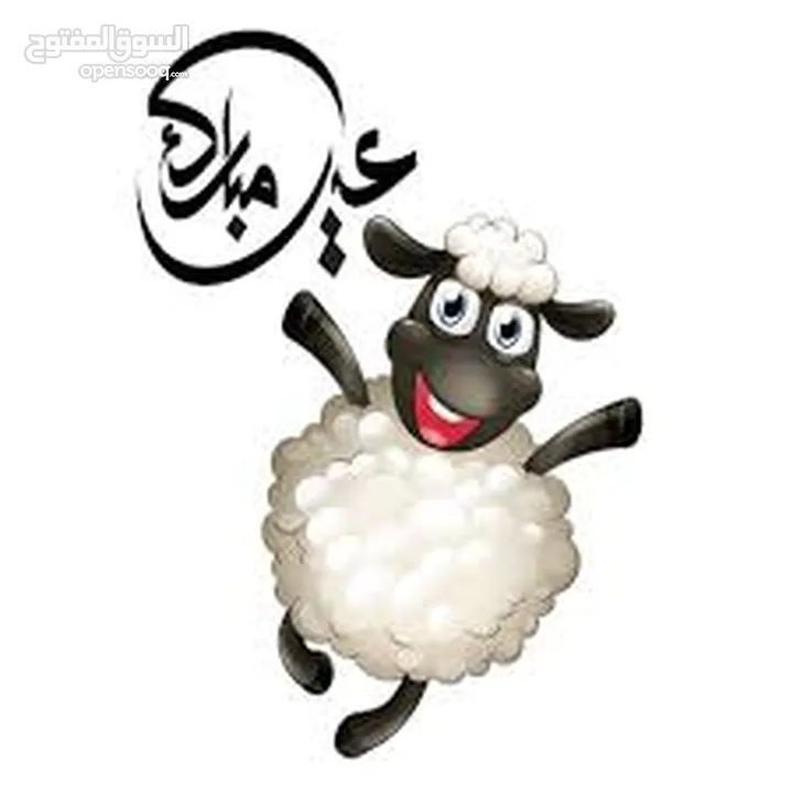 لحام جزار اضاحي متنقل ... ذبح ... سلخ ... تقطيع
