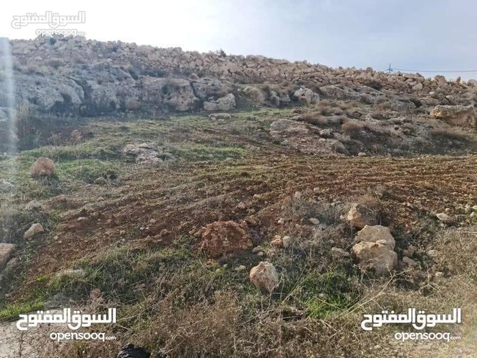 أرض في الكمشة حوض الميدان داخل اسكان المهندسين أجمل المواقع في الكمشه