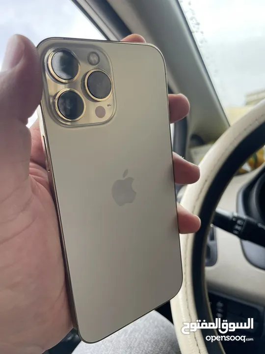13 pro max