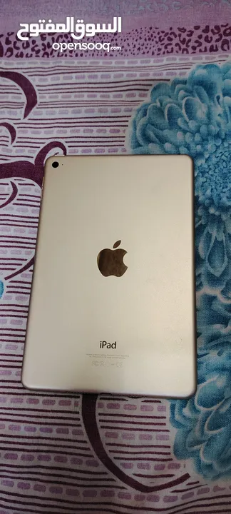 iPad Mini4    128GB