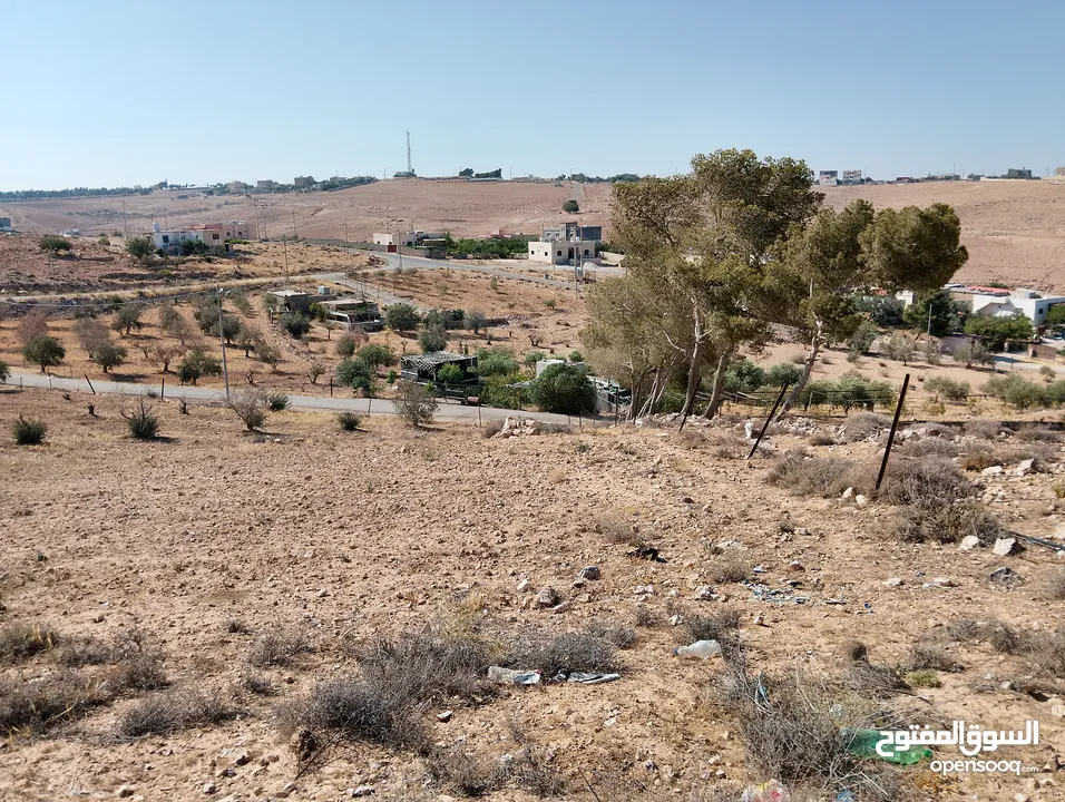 لقطة ؛ أرض زراعية مع غرفة على حدود الطفيلة والكرك ، تصلح للاستثمار كمزرعة سياحية أو منتجع سياحي