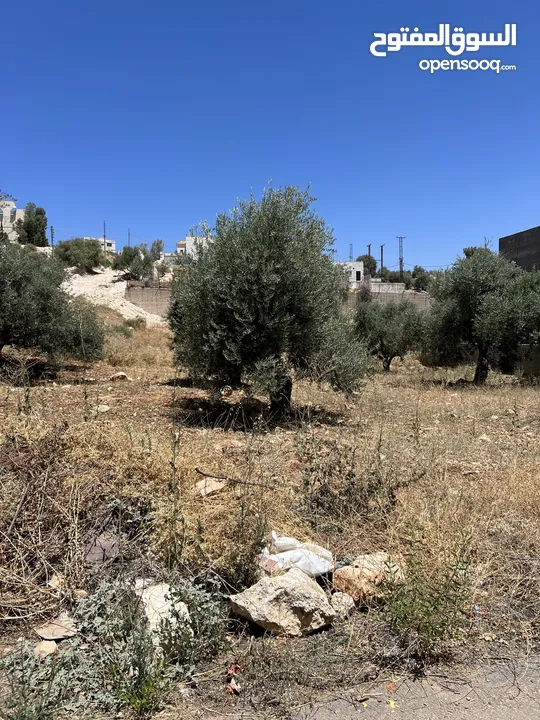 قطعة ارض سكن ( أ ) البقعان مقابل مسجد العطيات