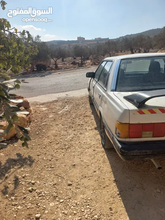 سوبارو عريض مرخصه مامنه