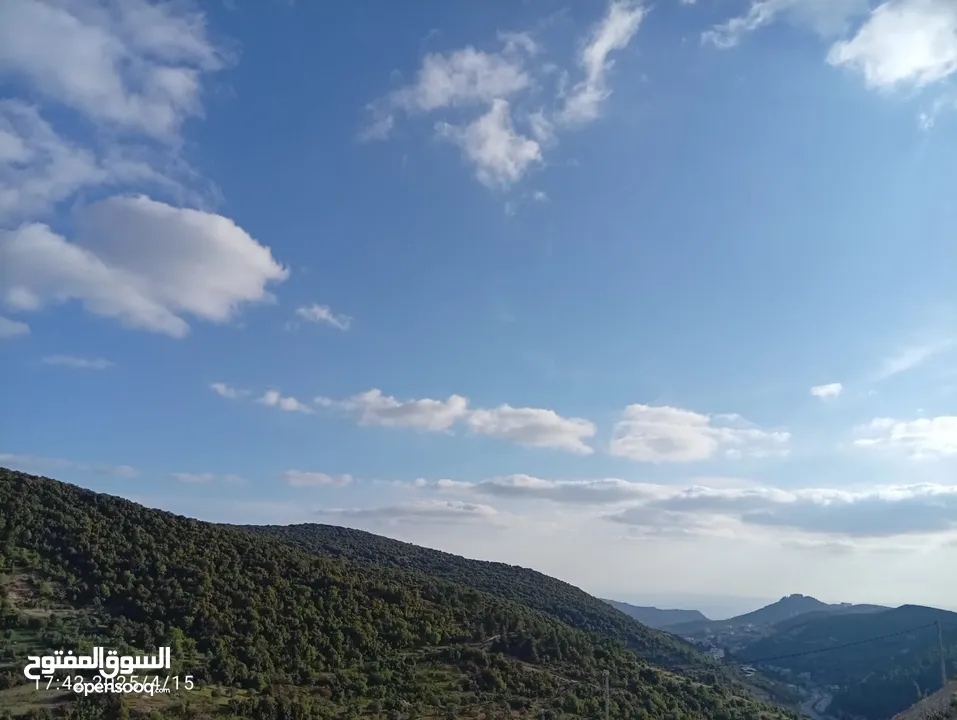 بيت مستقل حديث