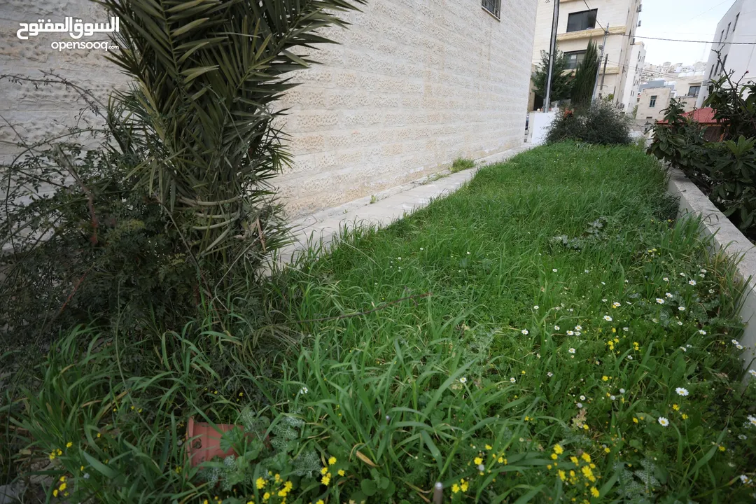 شقة للبيع في أول نزول ابو السوس الدربيات شبه ارضى مع حديقة