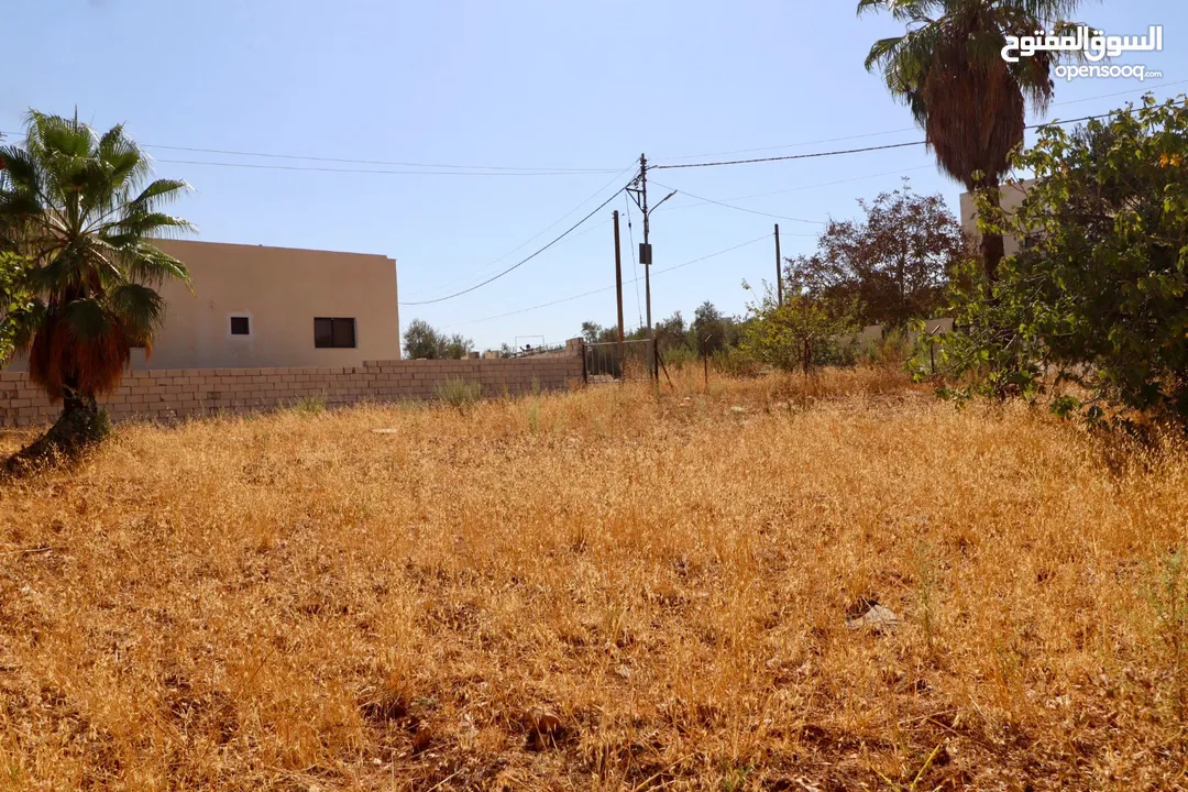 أرض مميزة في منطقة النعير ذات اطلالة على حدائق الحسين