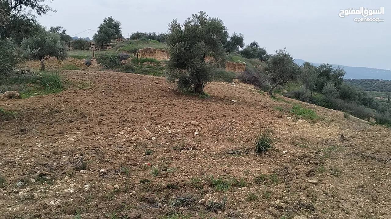 أرض مميزة جداً لعمل شاليه استثماري أو مزرعة خاصة أو مزرعة تجارية يوجد بها قناة ماء من المالك مباشرة