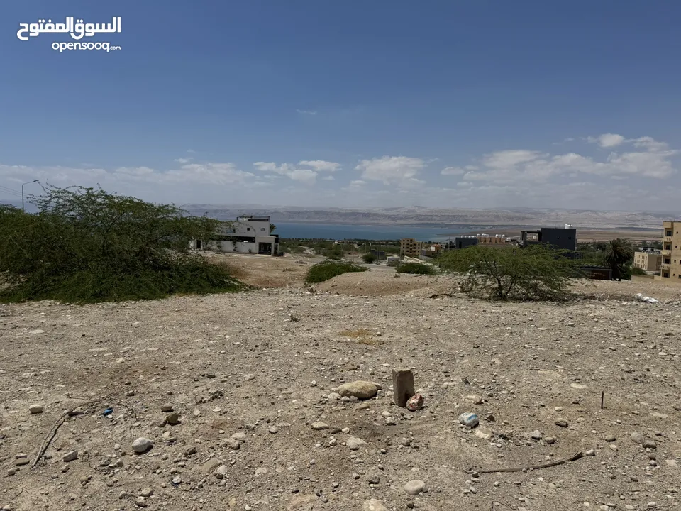 أرض مميزة مطلة على البحر الميت مباشرة