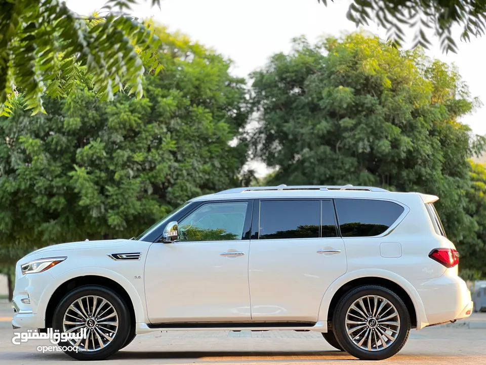 إنفينتي QX80  موديل 2019