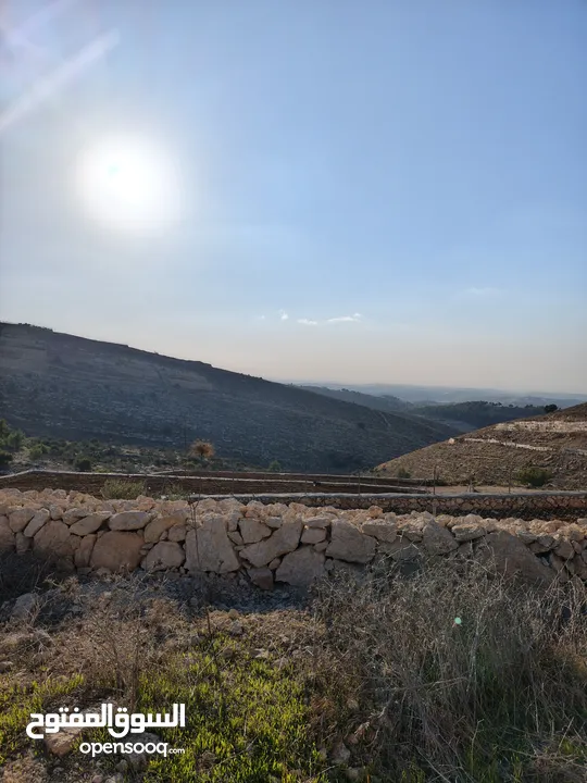 500 متر للبيع غرب حلحول