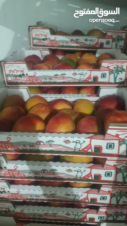 مشروع تجاري مربح بحاجة لتمويل
