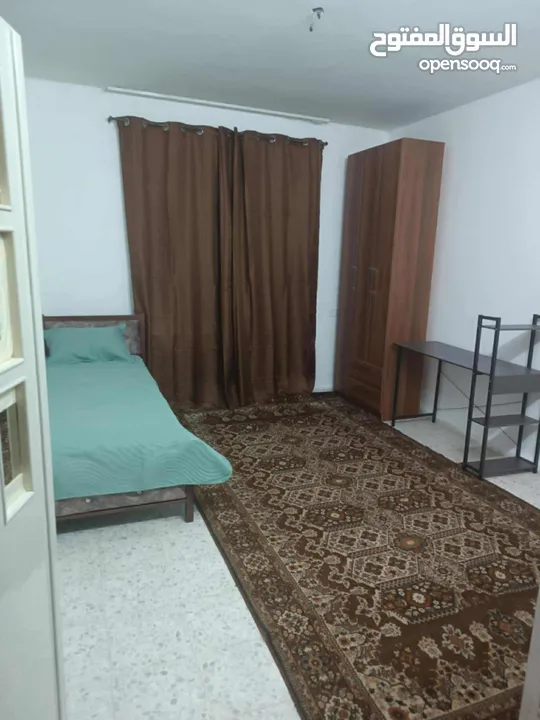 يوجد شقة سكن طالبات للايجار