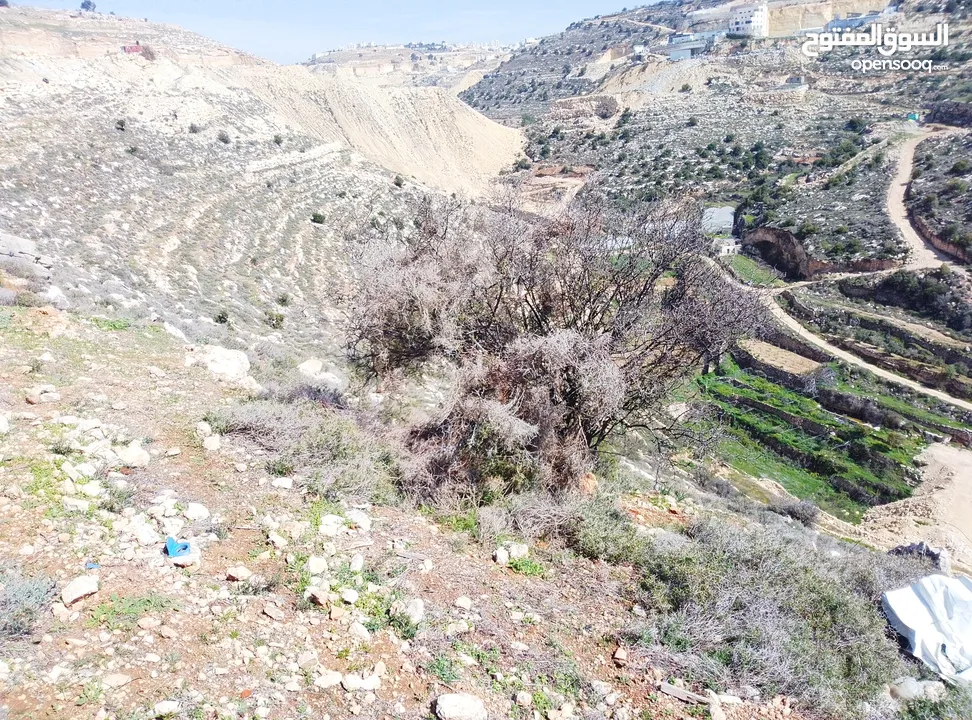 قطعة ارض للبيع تصنيف B كوشان طابو