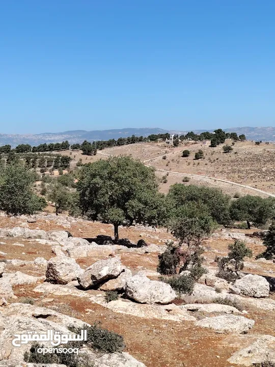 ارض للبيع جرش عنيبه سكان المهندسين