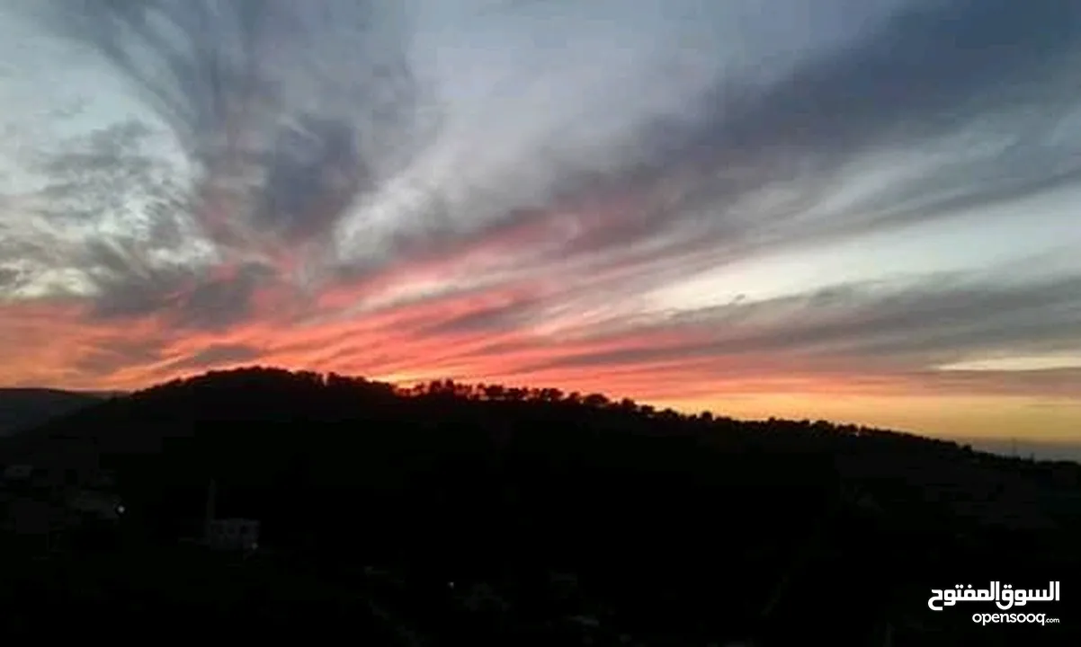 مزرعة شالية