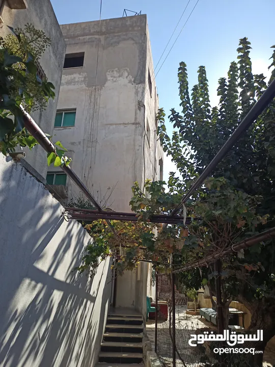 عماره مميزه في حي مميز بسعر جيد مناسبه لعائله مدخل مستقل قوشان مفروز اربع طوابق كل طابق مسطح 155 متر