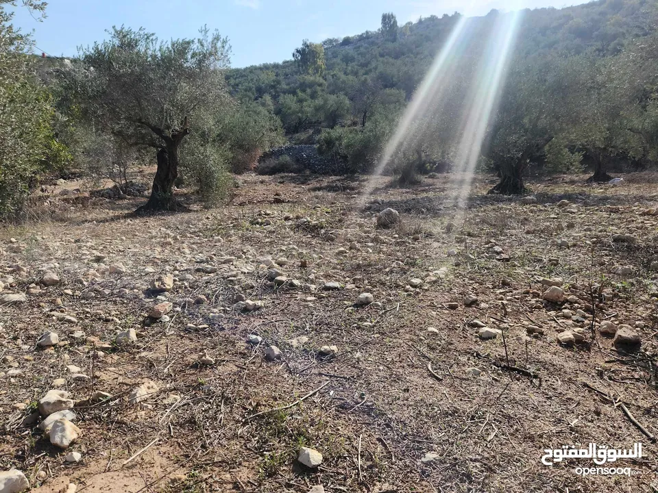 حصة 470م منطقة المنتزة