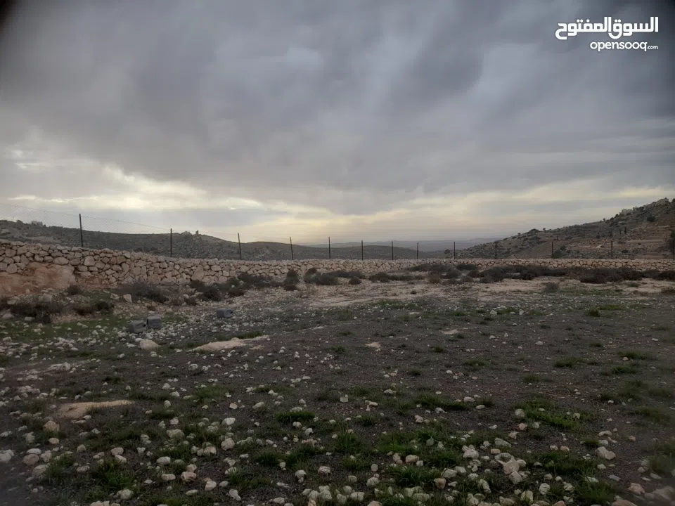 1800 م ارض طابو A الخليل دورا خرسه