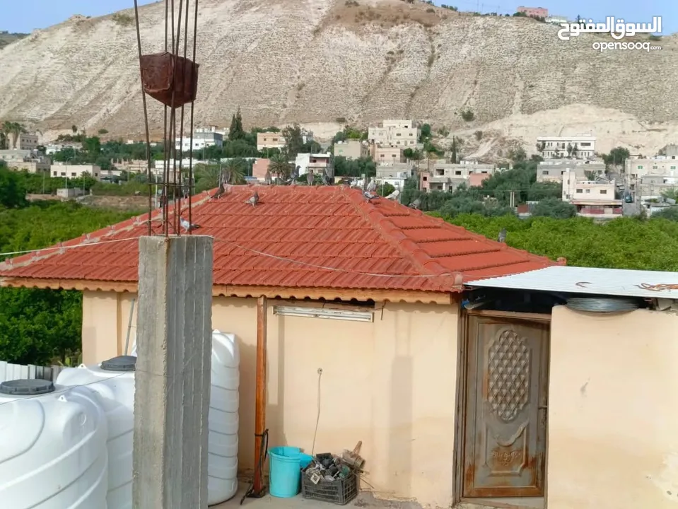 مزرعه مثمره للبيع