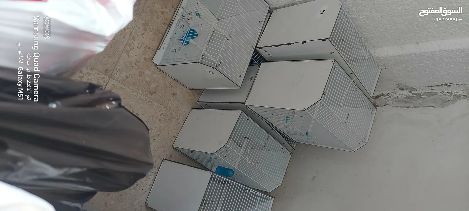 اقفاص عرض طيور