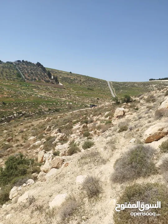 ارض للبيع ( ام رمانه) قريبه جدا من شارع الاردن حيث تبعد عن بن معروف 6 دقائق فقط