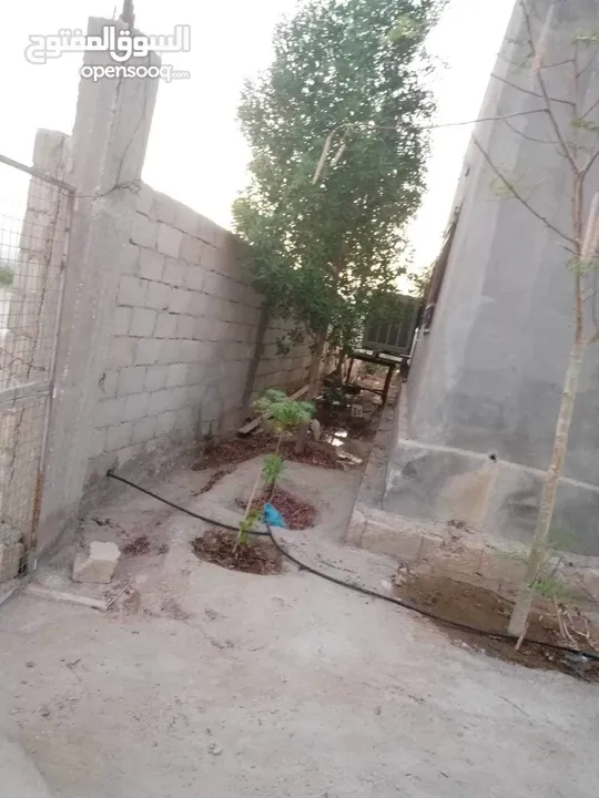 مزرعه شالية في منطقه سويمة قرب بحر الميت