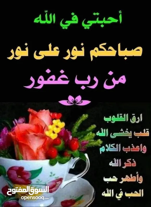مترجم فوري ايطالي عربي