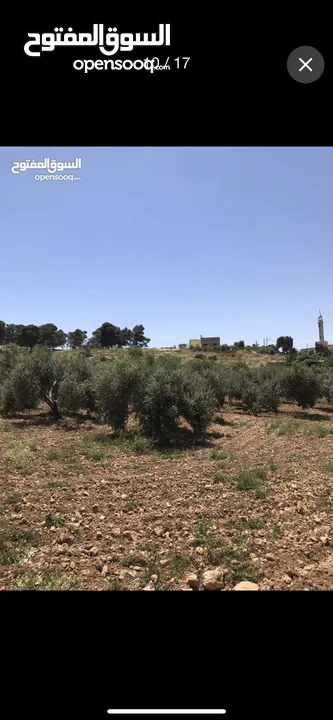ارض للبيع في منطقه السليحي