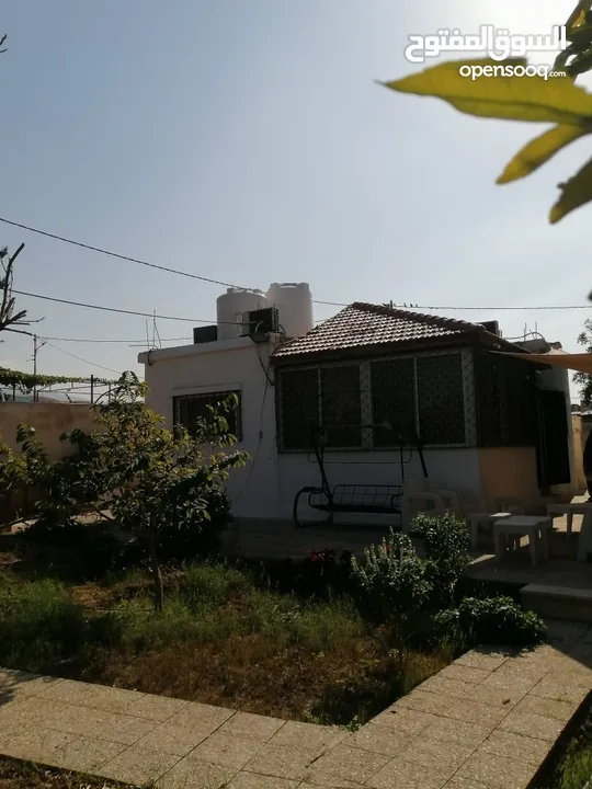 بيت مزرعة (ترخيص سكن) مزروعة شجر مثمر مع بير في منطقة الاغوار الوسطى ظهرة الرمل