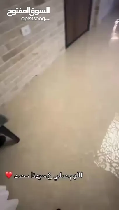 شقه مفروشه للايجار اليومي
