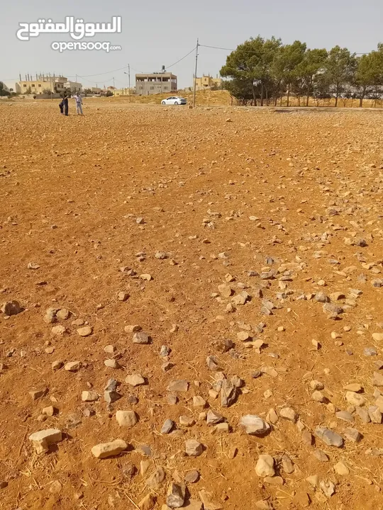 أرض مميزة في خشافية الشوابكة