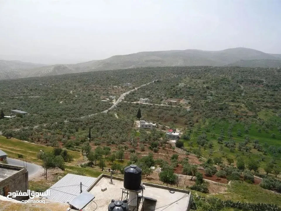 ارض للبيع في نابلس - طلوزة  نمرتين 2 دونم  تابع اراضي طلوزة