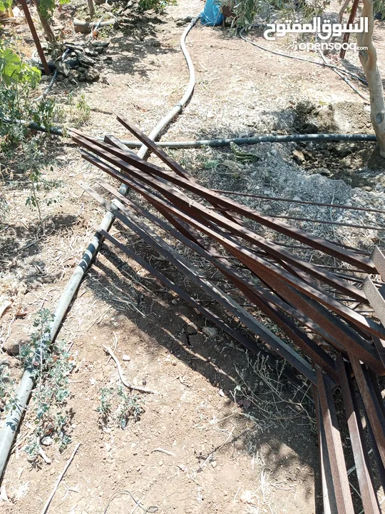 زوايا V للعنب