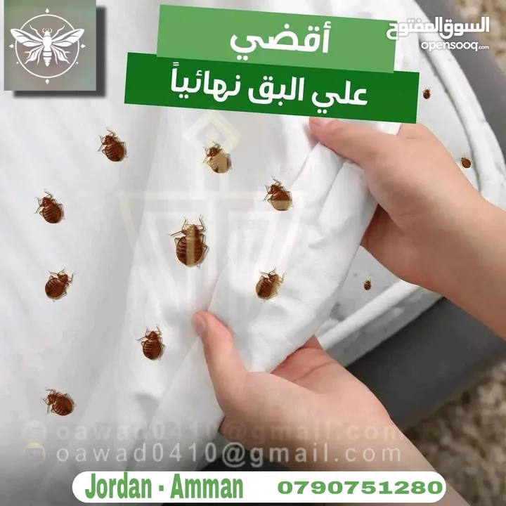 رش حشرات للمنازل والمحلات مع ضمان النتيجة وسرعة الاستجابة وكفالة