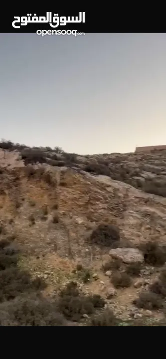 ارض للبيع بمدينه الخليل دورا