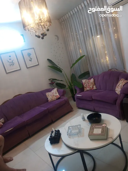طقم كنب مستعمل خشب سويد وزان لون موف المفردتين خشب زان بالكامل