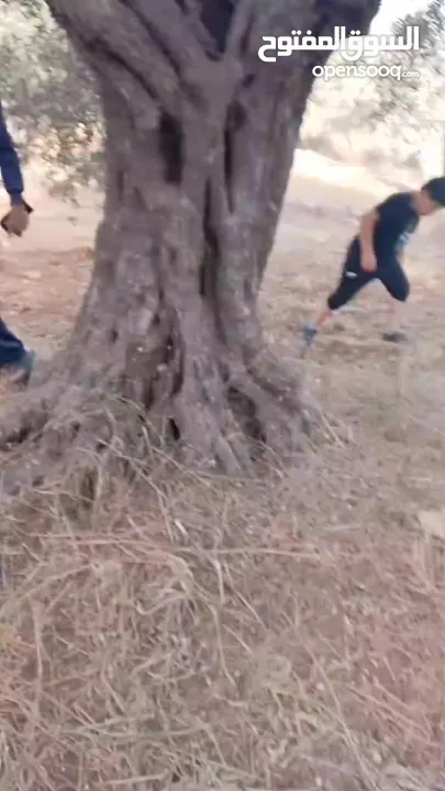 قطعة لرض للبيع