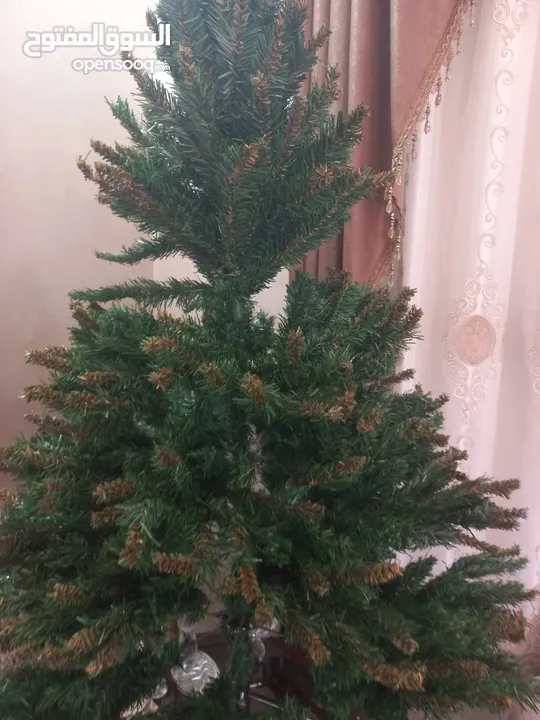 شجرة عيد الميلاد Christmas tree في الزرقاء شارع الكرامه