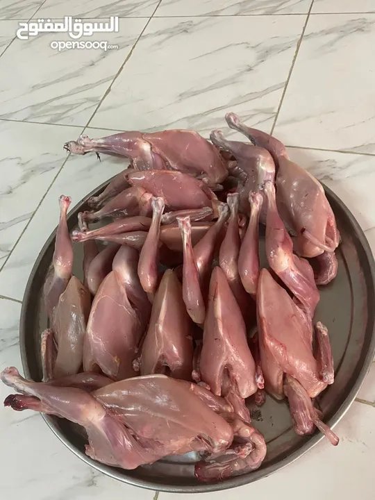 دجاج عماني اصل للبيع العمر شهرين