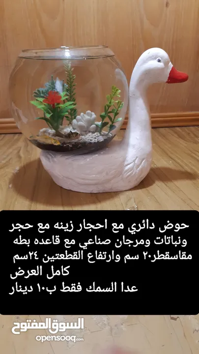 حواض مع قاعده