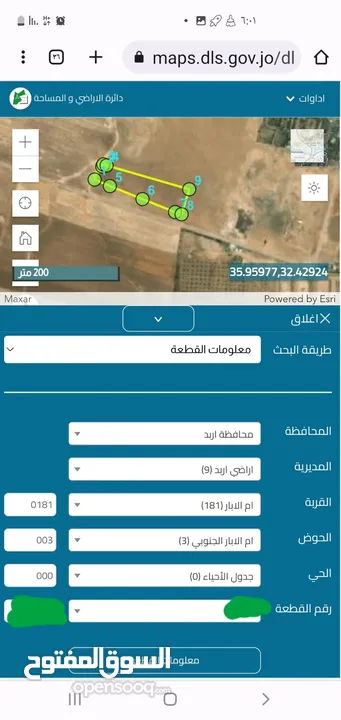 للبيع في اربد قرية ام الابار حوض ام الابار الجنوبي مساحة  7004 متر مربع وجهة القطعه غربيه سعر مغري ج
