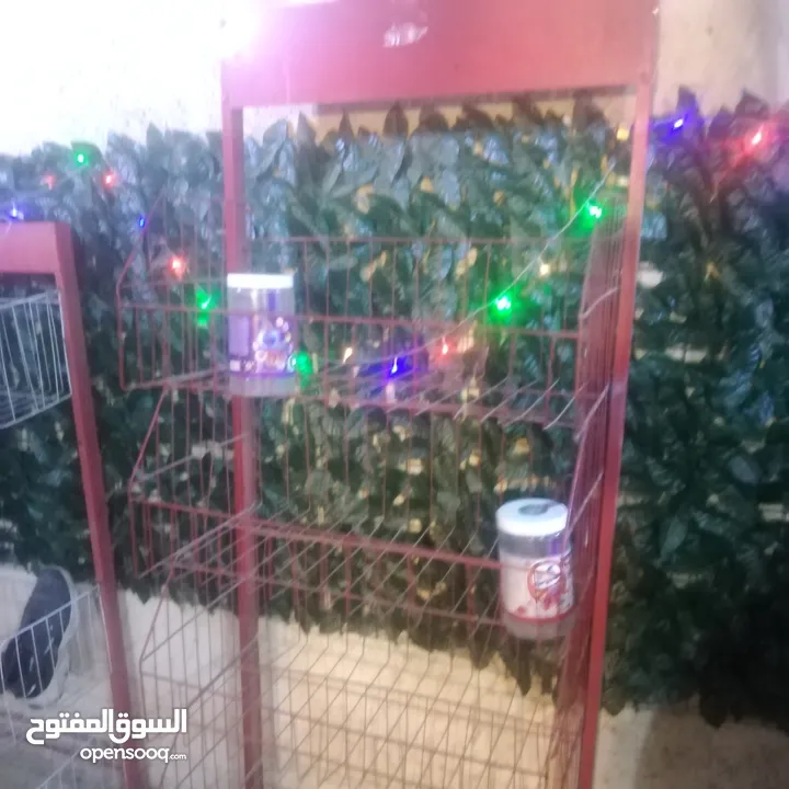 استندات شيبس عدد2 واستاند تعليق واستاند علكة للبيع